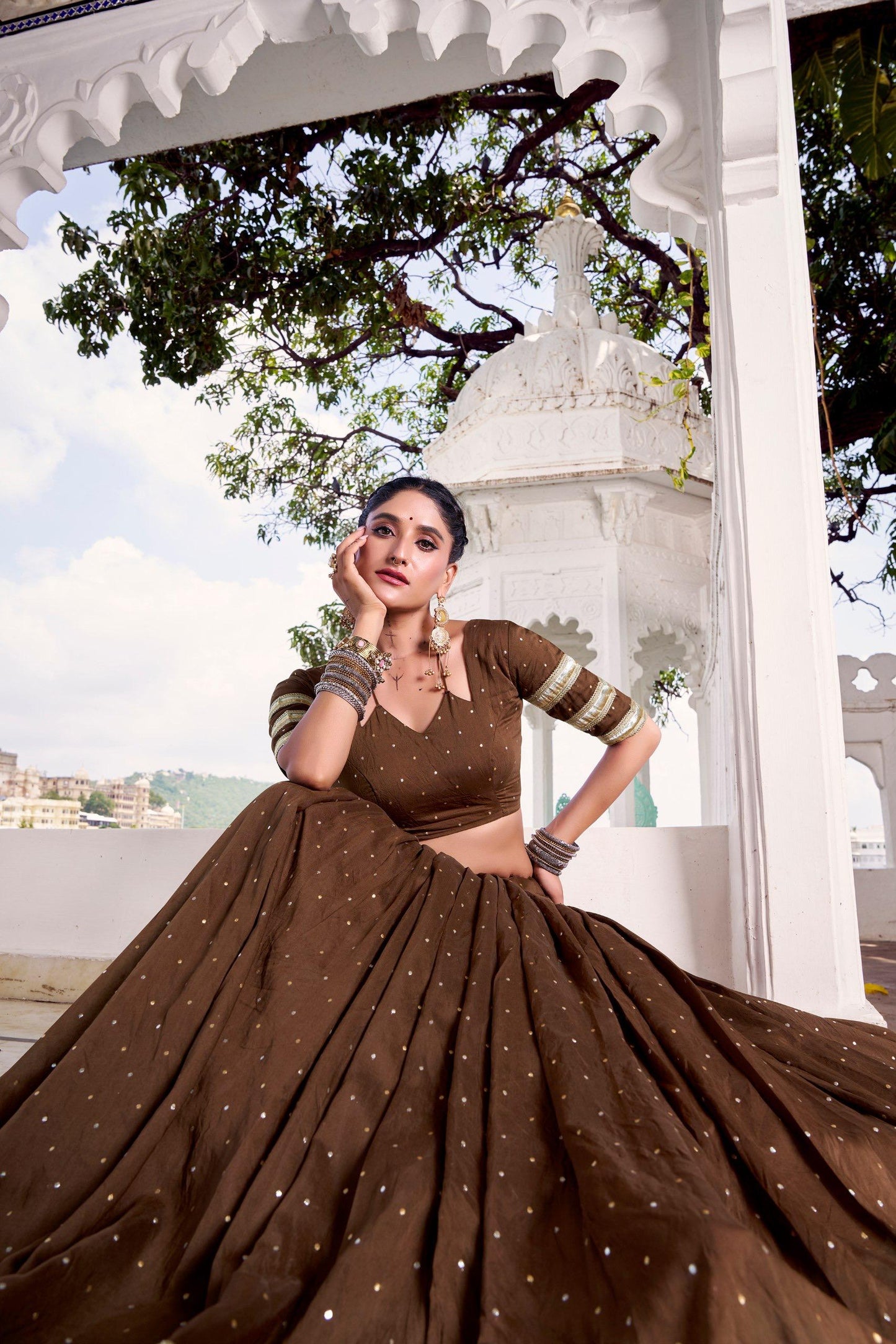 Brown Elegant Lehenga