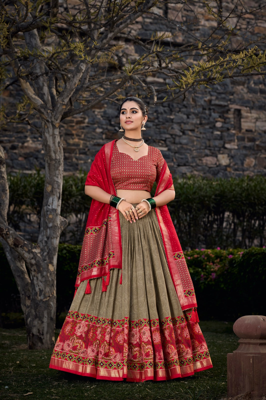 Red Silk Lehenga Choli with Rich Woven Borders