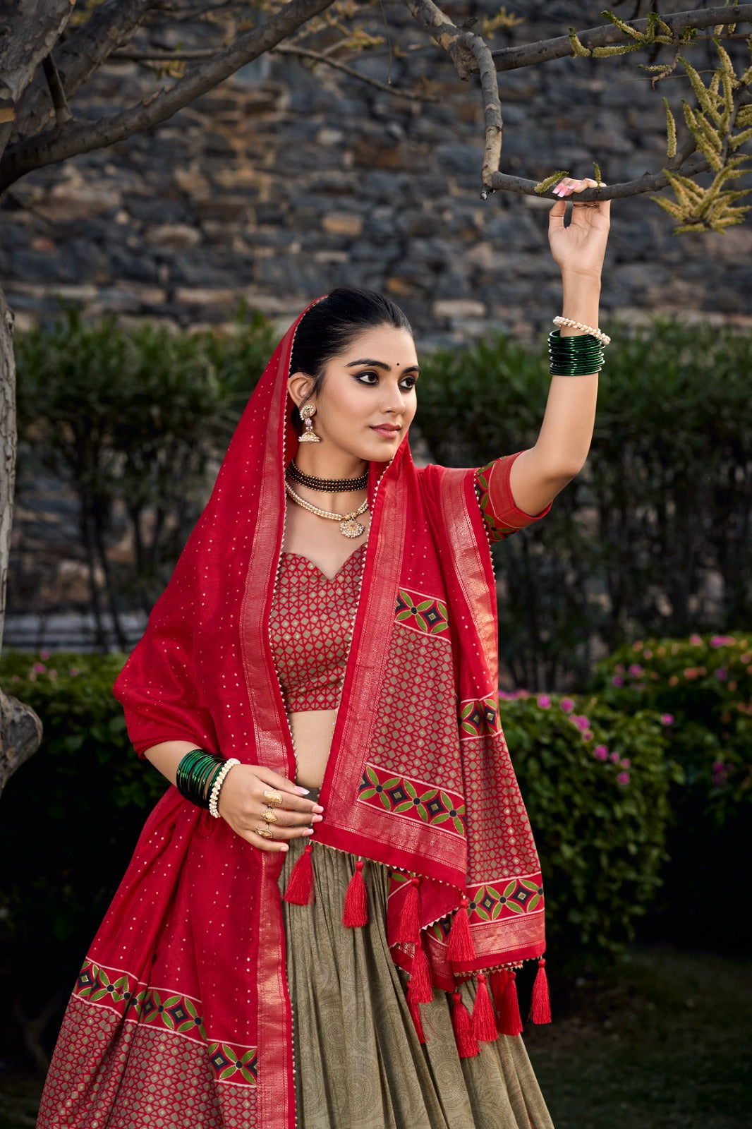 Red Silk Lehenga Choli with Rich Woven Borders